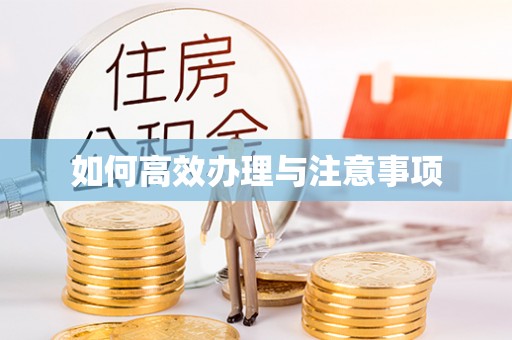 黄山如何高效办理与注意事项