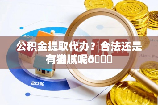黄山公积金提取代办？合法还是有猫腻呢😏