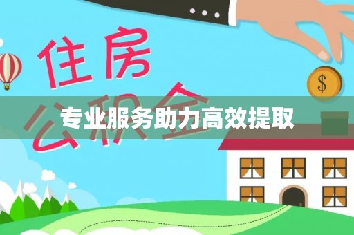 黄山专业服务助力高效提取